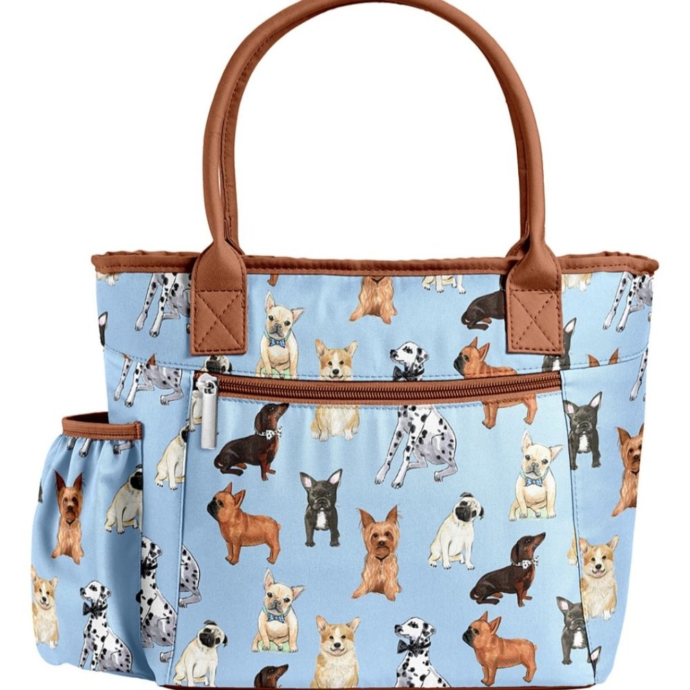 Fit and Fresh lunch bag